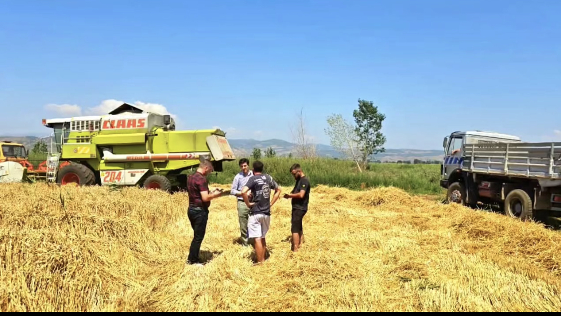 Jole/Në fshatin Sheqeras me fermerin e ri Enea Xhone dhe mekanizatorët Ordi dhe Denisi që kanë në pronësi tre autokombajna