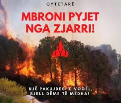 Agjencia e Shërbimeve Publike/Kush i shkakton zjarret dhe cilat janë veprimet kryesore gjatë zbulimit të zjarrit në pyje/kullota. (Masat që duhet të merren).