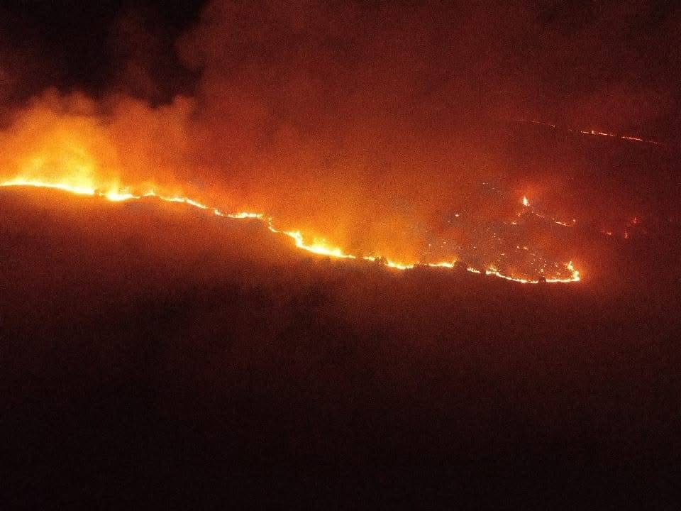 Zjarr në zonën kufitare të Vernikut, forcat shqiptare dhe greke në gatishmëri – Prefekti Jole: Situata po monitorohet nga afër