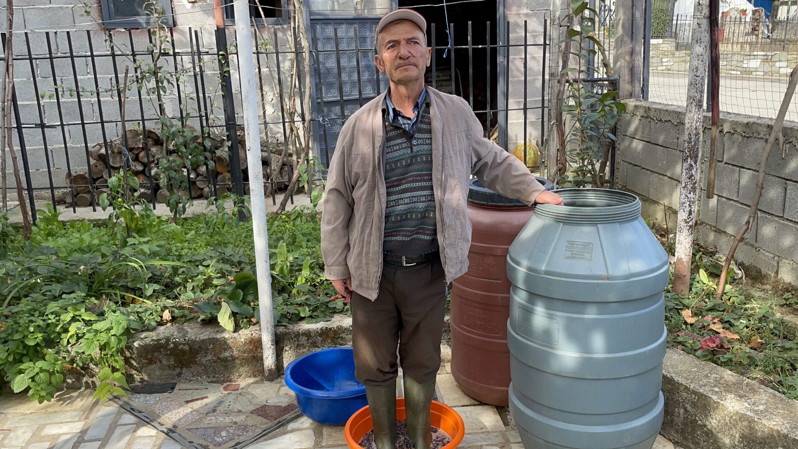 Rrushi, trashëgimi dhe pasion – agronomi Pëllumb Muçollari në Fshat Maliq Rrushi, trashëgimi dhe pasion – agronomi Pëllumb Muçollari në Fshat Maliq