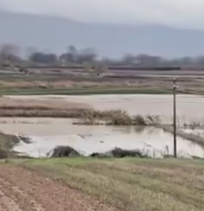 Përmbyten disa hektarë toka bujqësore në fushën e Maliqit Përmbyten disa hektarë toka bujqësore në fushën e Maliqit