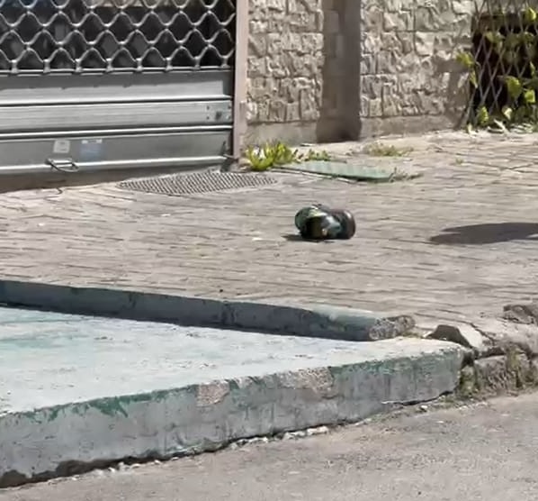 Sherr i dhunshëm në Korçë, një i ri përfundon në spital Sherr i dhunshëm në Korçë, një i ri përfundon në spital