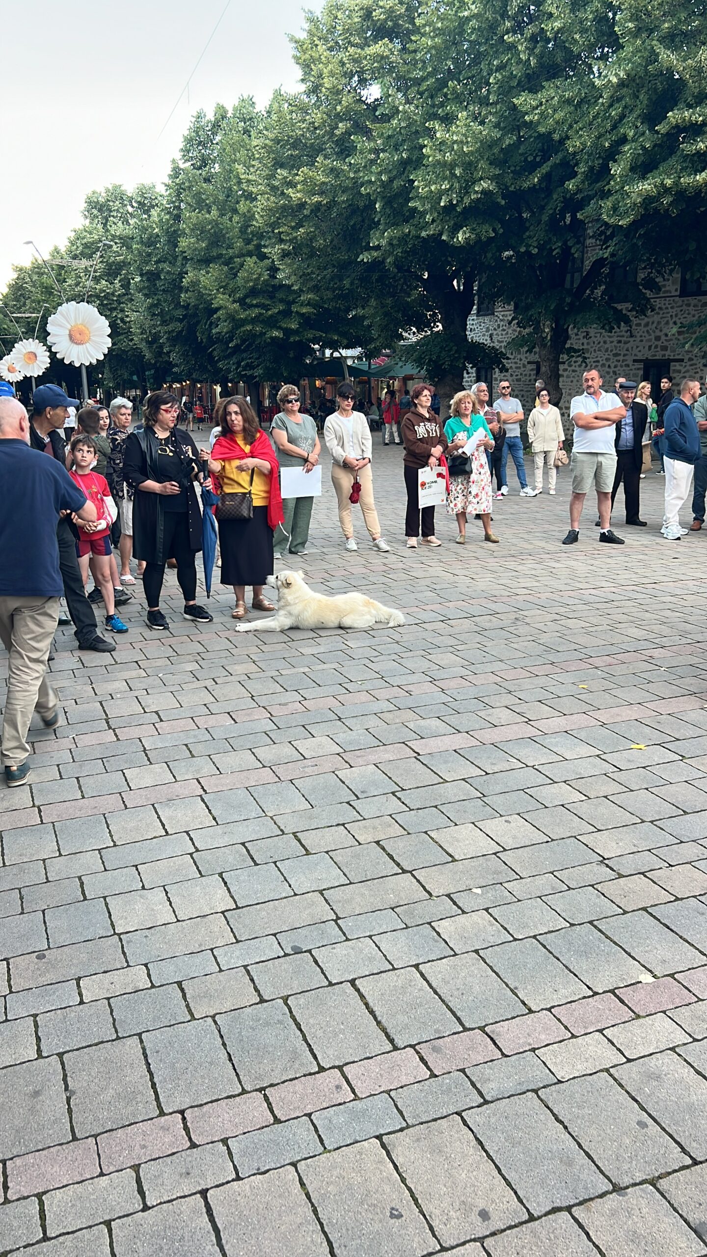 Eduart Bardhushi/ Biri i nënës në kurbet, biri i..