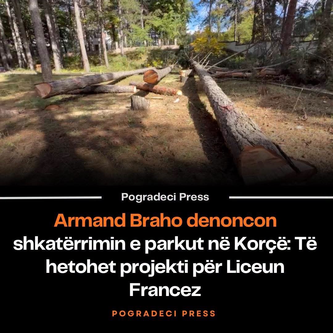 Armand Braho denoncon shkatërrimin e gjelbërimit në Korçë: Të hetohet projekti për Liceun Francez Armand Braho denoncon shkatërrimin e gjelbërimit në Korçë: Të hetohet projekti për Liceun Francez